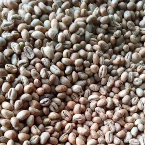 grenbeen fine kopi lanang robusta 1kg kopi biji tunggal jambu kopi semarang