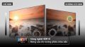 Google Tivi TCL 40 inch 40S5400 (Mới 2023) - CHÍNH HÃNG 100%. 