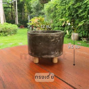 กระถางปูนซีเมนต์ ขาไม้ เคลือบเงา ขนาด 12 ซม. กระถางต้นไม้ปูนซีเมนต์ ตกแต่งบ้าน พร็อพถ่ายรูป แคคตัส สไตล์ลอฟท์