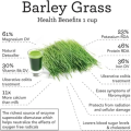 NAVITAS PURE ORGANIC BARLEY GRASS Korean premium young rice powder is good for digestion and skin beauty. 