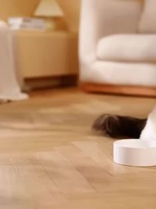 [SG] 2in1 Automatic Cat feeder Cat Water Dispenser Food Dispenser  Auto dog Feeder