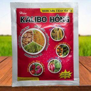 KALI BO HỒNG GÓI 50G COMBO 5 GÓI   TRỔ THOÁT CHẮT HẠT