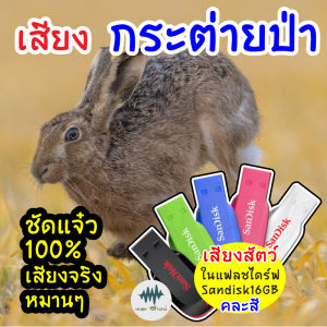 เสียงกระต่ายป่า เสียงต่อกระต่ายป่า เมม/แฟลชไดร์ฟเสียงกระต่ายป่า มีเก็บเงินปลายทางเสียงจริงชัดแจ๋ว100% ไม่มีโฆษณาแทรก (MP3เสียงต่อสัตว์)