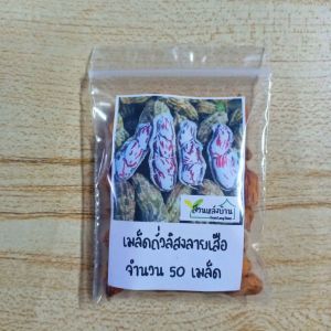 50 เมล็ด ถั่วลายเสือ เมล็ดพันธุ์ถั่วลิสงลายเสือ เมล็ดพันธุ์ถั่วลายเสือ ถั่วลิสง ถั่วราชินี ถั่วพระราชทาน ถั่วจัมโบ้ลายเสือ