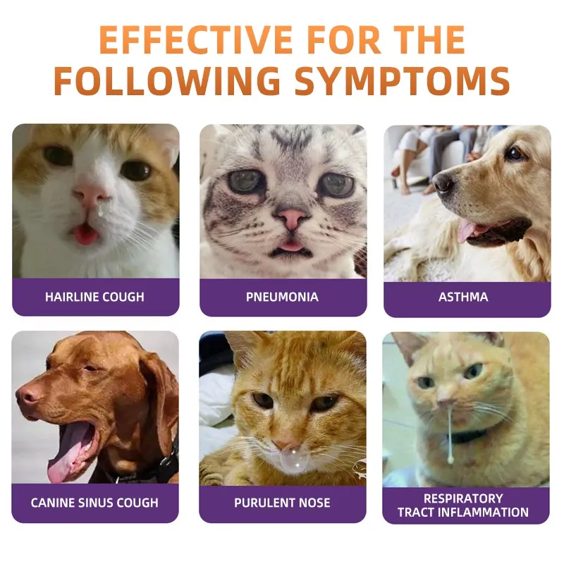 Flu Cat Cold Symptoms Report Cold/flu Symptoms – LINE Stickers