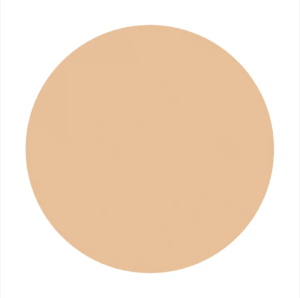 Phấn phủ Integrate Gracy Premium Foundation SPF25 PA++ - Nhật Bản