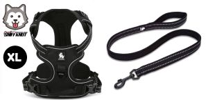 Durable Harness and Leash Set for Medium to Large Breed dogs