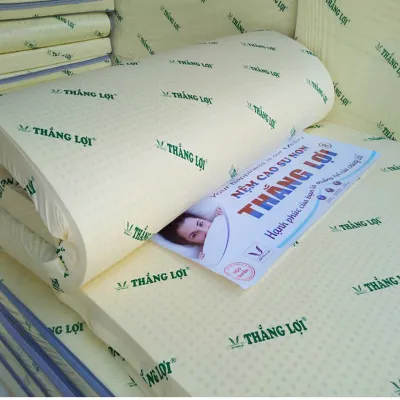 ( FREE SHIP HCM) Nệm Cao Su Non Thắng Lợi - Nệm Thắng Lợi Thoáng Mát Êm Ái Đàn Hồi Tốt