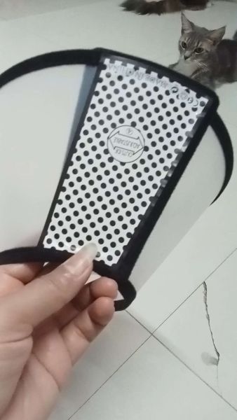 Buyer review video 3