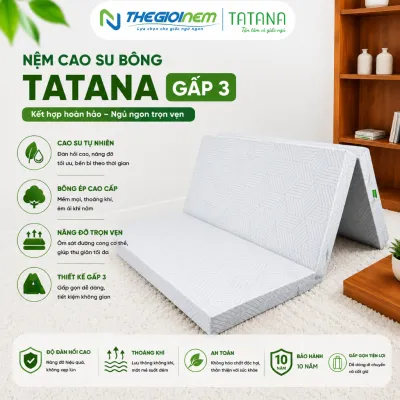 Nệm cao su bông Tatana thiết kế đa tầng gấp 3 tiện lợi kết hợp giữa bông ép và cao su thiên nhiên độ đàn hồi cao nâng đỡ cơ thể hoàn hảo