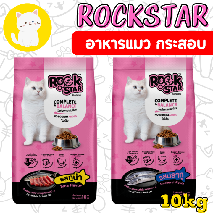 🐱✨ 8 อันดับอาหารแมวไม่เค็ม ยี่ห้อไหนดี? บำรุงสุขภาพน้องแมวที่คุณรัก ปี 2025