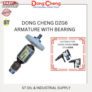 ARMATURE FOR DONG CHENG DZG6 / DCA AZG6