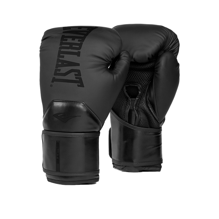 Everlast Elite 2 Boxing Gloves Lazada PH