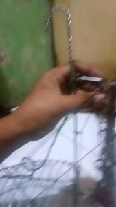 Sangkar Burung Jebak Perkutut Tekukur: Panduan Lengkap