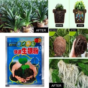 10 Bags 10g Rooting Powder Root Seedling Germination Aid Flower Anther Fertilizer