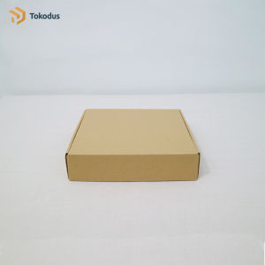 ( ISI 20 ) Kardus Pizza Polos 22 x 22 x 5 cm Packing Aesthetic