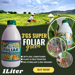 3Gs Japan Super Foliar Fertilizer Soil & Plant Growth Enhancer Vegetable Rice Red | Green Cup 1Liter with Measuring cup