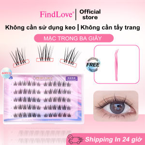 [No Glue Need]PRAECLARUS Crown Self Adhesive Eyelashes C Curl 12mm False Eyelashes Reusable Glue Free Eyelash Diy Eye Lashes Extension Set For Beginner No Glue Needed Lashes