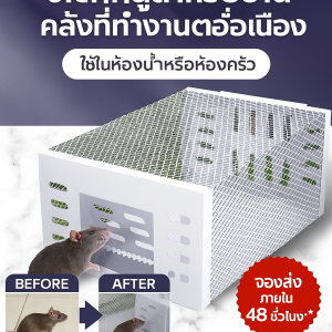 กับดักหนูอัตโนมัติสำหรับบ้านคลัง ช่วยกำจัดหนูโดยต่อเนื่อง