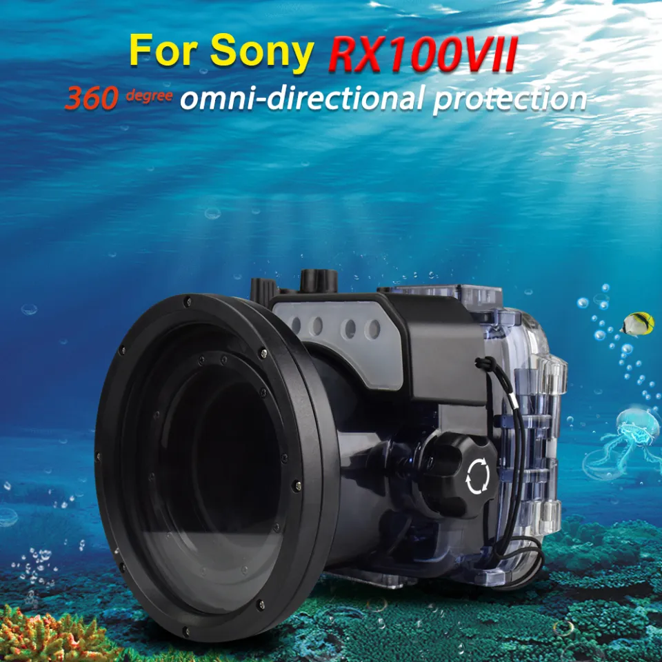 Underwater Sony Rx100 Vii Image Quality Seafrogs For Sony RX100