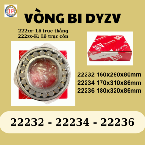Vòng bi cà na DYZV 22232 22234 22236