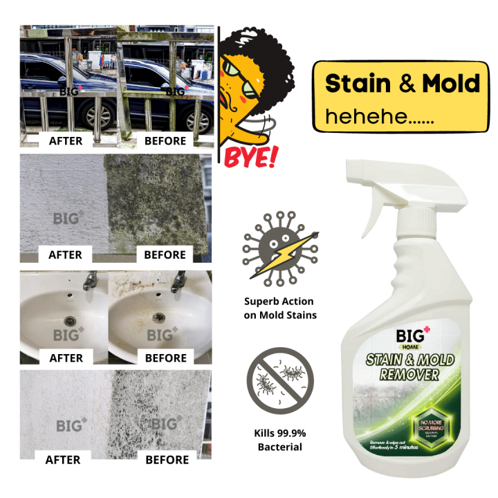 BIG+ Stain & Mold Remover (500ml) For Toilet Bathroom Mosaic Wall Mold Stain Fungus Fungal ...