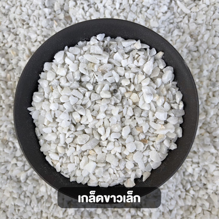 หินโรยหน้ากระถาง คละแบบ สำหรับจัดสวนถาด กระบองเพชร