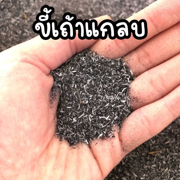 10 อันดับ แกลบดำและวัสดุปลูกยอดนิยมสำหรับปี 2025 เพื่อต้นไม้เติบโตสวยงาม