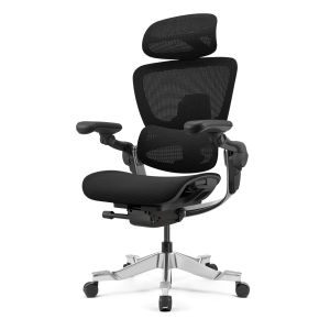 Hinomi H2 Pro Ergonomic Office Chair with Lumbar Support and Leg Rest Mesh Home Office Chair with Adjustable Backrest Gaming Chair