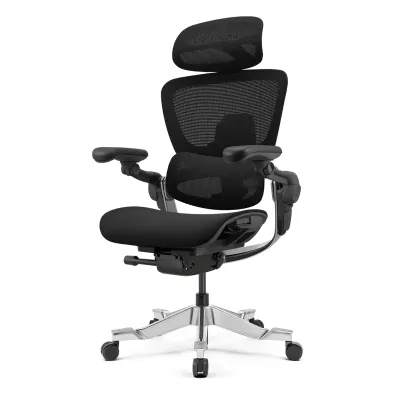 Hinomi H2 Pro Ergonomic Chair with Adjustable Backrest and Seat Home Office Chair with Lumbar Support Gaming Chair with Legrest