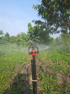 Béc tưới cây MK88 30L/h Mekongagri