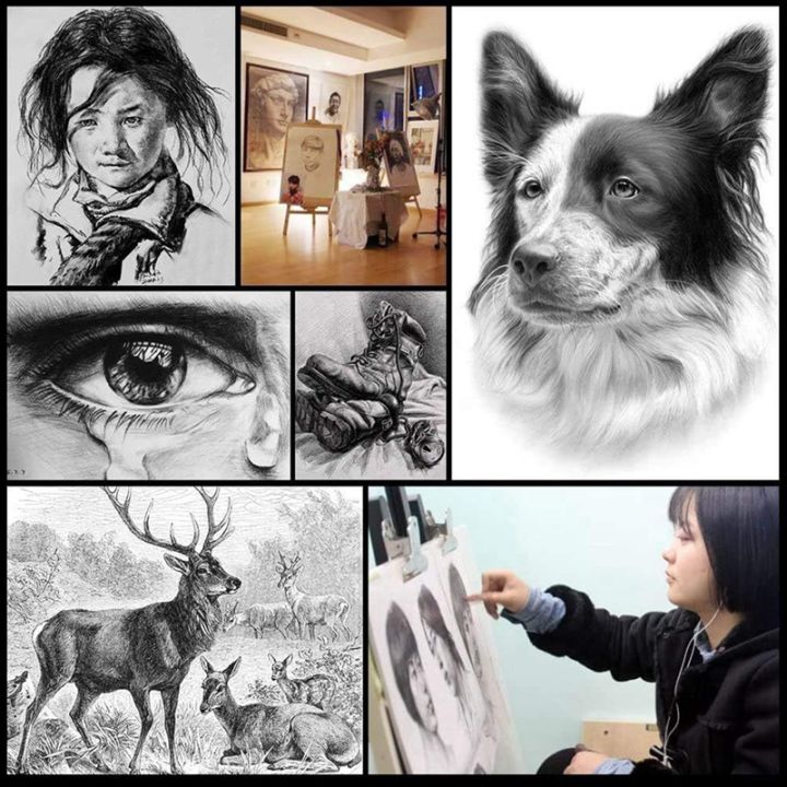 Drawing Pencils Charcoal Sketch Graphite Art Pencil Set Professional