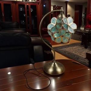Sacesr Iron Base Acrylic Lamp Shade Vintage Study Desk Lamps Luxury Creative Aesthetic Bedside Desktop Reading Lamp Holiday Gifts 7M5T2