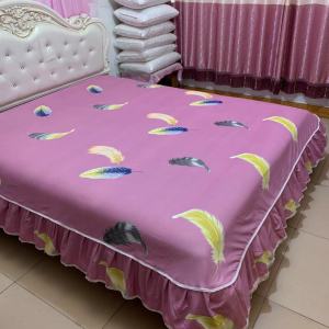 Váy Giường Lông Chải Dày Dặn Phong Cách Hàn Quốc Váy Giường Đôi Chống Trượt Phong Cách Công Chúa