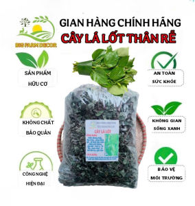 1kg cây lá lốt cả thân rễ sấy khô