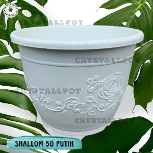 POT BUNGA TANAMAN SHALLOM GLORY 50 PUTIH TEBAL - SHALLOM  GLORY JUMBO 50 PUTIH