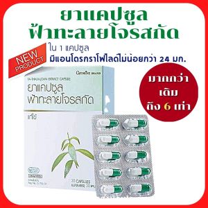 ลดราคา ฟ้าทะลายโจร ชุดสารสกัดฟ้าทะลายโจร กิฟฟารีนแท้ สารแอนโดรกราโฟไลด์ ไม่ต่ำกว่า 24 มกราคม ฟ้าทะลายโจรผง ยาสามัญประจำบ้านเอร์ซีซั่น สุขภาพ 2552
