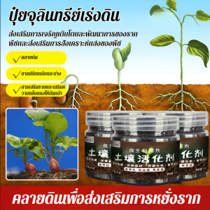 ปุ๋ยพืชและปุ๋ย ปลุกพลังของดิน