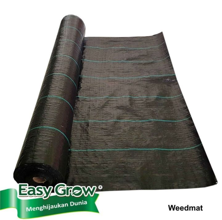 Missionerlik pozitsiyasida muntazam jinsiy aloqa