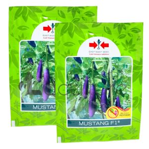 Benih Terong Ungu MUSTANG F1 Isi 1100 Butir Cap Panah Merah