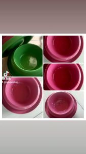 tempat makan kucing mangkok singgel anti semut