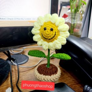 Chậu hoa hướng dương mini mặt cười làm quà tặng trang trí bàn học bàn làm việc