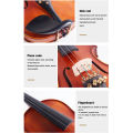 RIXTON Music Professional Violin 4/4 Full Set of Rosin Free Packaging Orchestral Instruments(Violin 4/4 Full Set). 