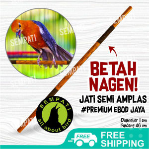 SEMPATI Tangkringan Sangkar Burung Anis Jati Ebod Jaya TNKAJEJ