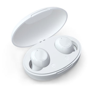 1 Cặp Máy Trợ Thính Mini Nhét Tai Chuyên Nghiệp Có Thể Sạc Lại