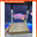 "Hoàn tiền đến 10%" Giá Treo Đèn Bể Cá Tanning Cá Rồng Kích Thước 40cm Chất Liệu Thép Không Rỉ Thương Hiệu MAYIN. 