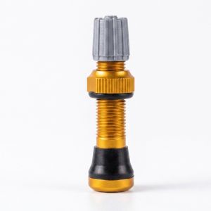 FLYING Thép không gỉ Van không săm xe đạp MTB 4 màu sắc 40mm Vành xe đạp bánh xe lốp xe van lốp Chất lượng cao Van For-Schrader
