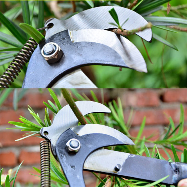 Pulley High Branch Scissors High Altitude Branch Trimmer Fruit Branch ...