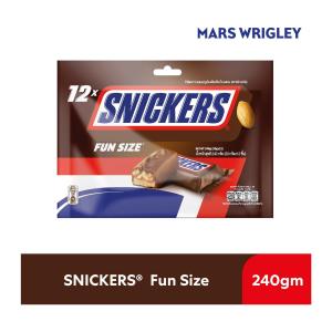 Snickers Chocolate Bar Fun Size 240G