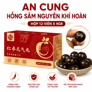 Viên Ngừa Đột Quỵ An Cung Hồng Sâm Nguyên Khí Hoàn 12 Viên Đông Y Trung Quốc - Giảm Đau Đầu Hoạt Huyết Phòng Tai Biến Cho Người Cao Huyết Áp suckhoe thucphamchucnang